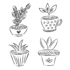 Set of flowers house plant hand drawn vector outline doodle icon. Collectoin decorative potted house plant sketch illustration for print isolated on white background. Vector illustration