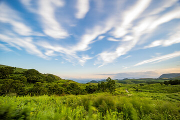 Fototapeta na wymiar 夏の爽やかな青空と緑の野原