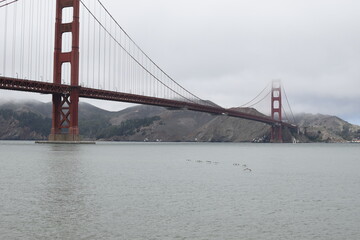 Fototapeta na wymiar The Golden Gate Bridge and some seagulls over the sea.