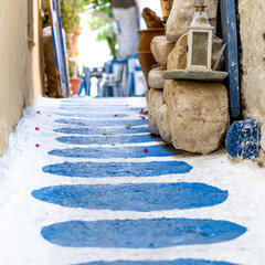 blue marks on a white street