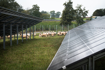 Solar panels in solar power plant in Germany Bavaria. Renewable energy through solar panels to generate clean energy. Green electricity.