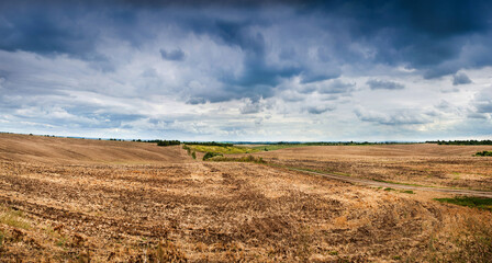 Fototapeta na wymiar Field after harvest, stubble of harvested grain under a dramatic cloudy sky