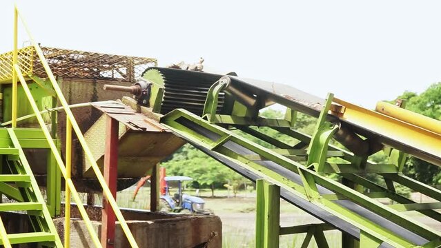 Food conveyor belt carrying pieces of cassava to a plant in Latin America