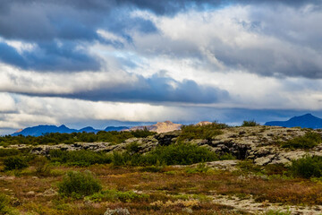 Adventures of the World