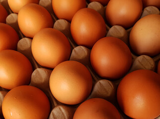 a close-up with eggs in the formwork