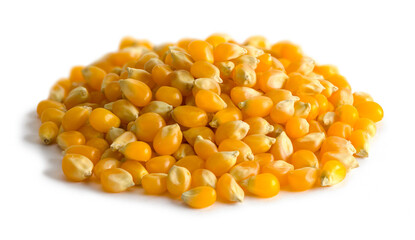 Popcorn Seed Pile