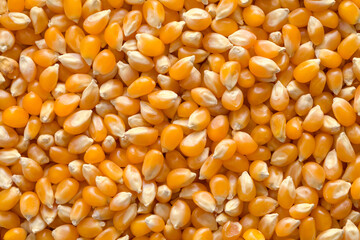 Popcorn Seed Background