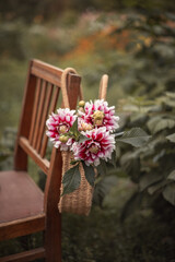 Photo Bouquet Beautiful Dahlias Chair