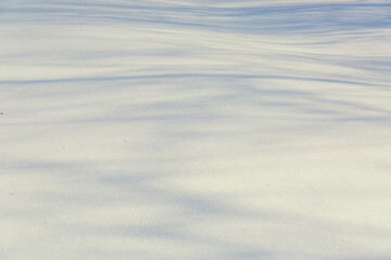 Shadows from trees in the snow on a sunny frosty day