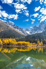 autumn scenery in Bipenggou valley InSIchuan China