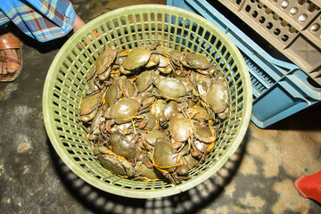  Living.Crabs in a bowl at a shop in. Mongla, Bangladesh