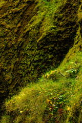 Adventures of the World