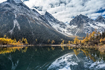 autumn scenery in Bipenggou valley InSIchuan China