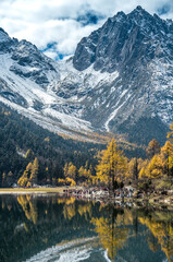 autumn scenery in Bipenggou valley InSIchuan China