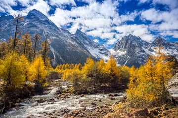 Fototapeta na wymiar autumn scenery in Bipenggou valley InSIchuan China