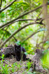 Adventures of the World