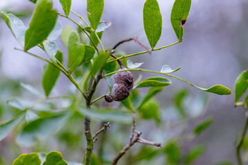 Adventures of the World