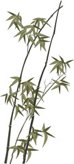 Retro Chinese style illustration plant bamboo