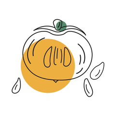 Outline vector illustration of persimmons whole and cut with pits, abstract color in the form of a spot. Hand drawn badge and symbol for printing on baby clothes, textile design, design for grocery