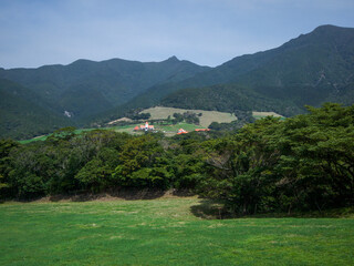 Obraz premium 山の上の牧場