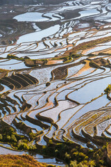 terraced fields In Yunnan China