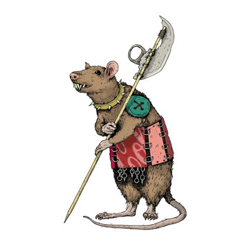 armed mouse rat