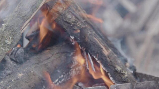 Small flame burning in the brazier. Campfire burning in the tourist camp. close-up image of burning wood
