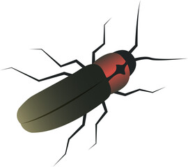 Japanese retro traditional style insect firefly