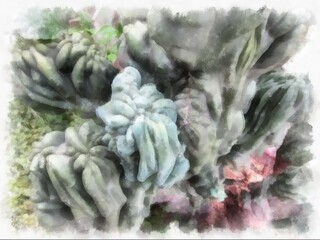 The surface of the cactus watercolor style illustration impressionist painting.