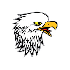 eagle head logo template. animal predator sign and symbol. falcon vector illustration.