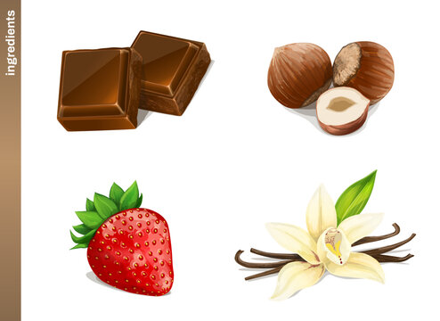 Chocolate, Hazelnuts, Vanilla and Strawberry. Vegetarian, organic food. Vector Illustration. 
