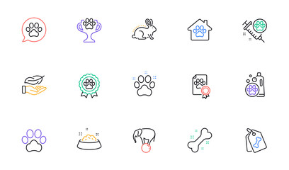 Winner cup, Pet friendly and Elephant on ball line icons for website, printing. Collection of Dog vaccination, Dog feeding, Pets care icons. Pet tags, Animal tested, Lightweight web elements. Vector