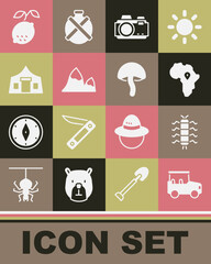 Set Safari car, Centipede insect, Map of Africa, Photo camera, Mountains, Tourist tent, Lemon and Mushroom icon. Vector