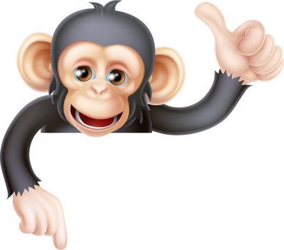 Thumbs Up Monkey Chimp Sign