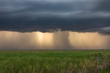 Obraz na płótnie Canvas Storm at the Everglades National Park, Coral Springs, Florida, USA