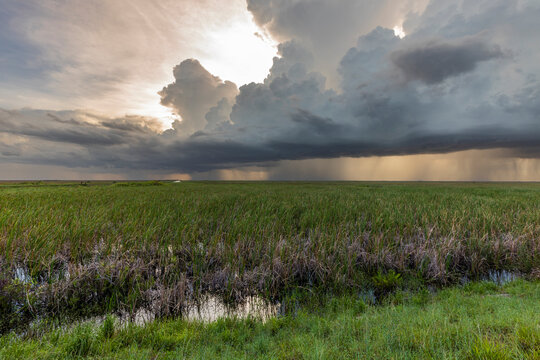 Storm At The Everglades National Park, Coral Springs, Florida, USA