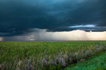 Fototapeta na wymiar Storm at the Everglades National Park, Coral Springs, Florida, USA