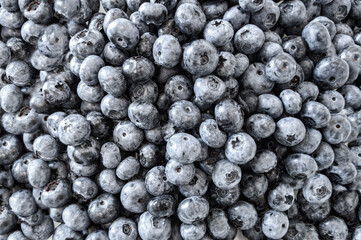 Only blueberries. Harvest, vitamins, juicy appetizing berries. Gifts of nature. Healthy snack, vegetarianism, raw food diet. Dietology, nutrition. Background, texture, postcard, wallpaper
