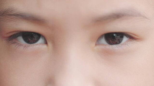 Close up and macro 4K of eyes of adorable asian kid girl who is blinking and looking with confidence shows clear, clean and beautiful detail of iris and reflection on human eyes in natural sunlight.