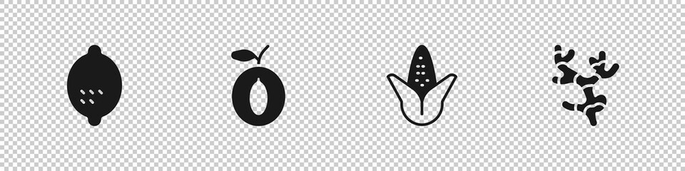 Set Lemon, Plum fruit, Corn and Ginger root icon. Vector