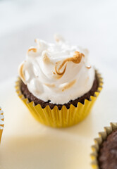 S'mores cupcakes