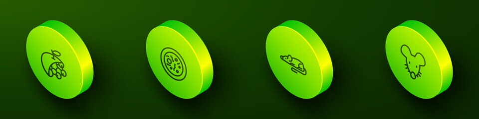 Set Isometric line Biological structure, Petri dish with bacteria, Experimental mouse and icon. Vector