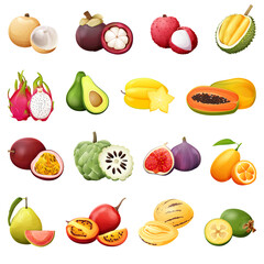 Set of colored  exotic fruit.Realistic vector illustration
