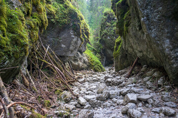 Cracow gorge - the most beautiful rock gorge of Polish Western Tatra mountains.