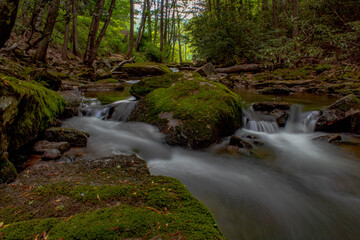 Fototapeta premium waterfall in the forest