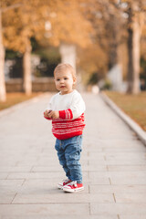 Cute baby girl 1-2 year old wearig casual stylish cloth walk in autumn park with fallen leaves outdoor. Childhood.