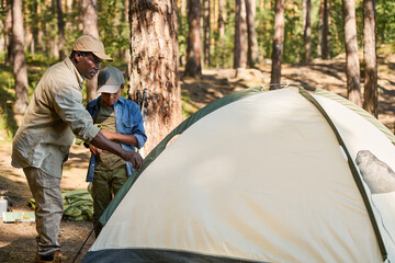 Aged black man in activewear bending by tent while preparing it for himself and his grandson during their hike trip in the forest