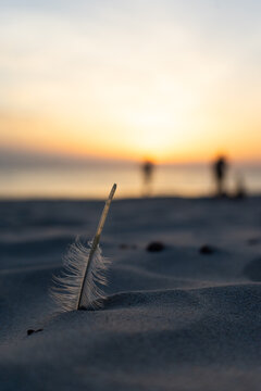 Sunset On The Beach With A Feather Upfront