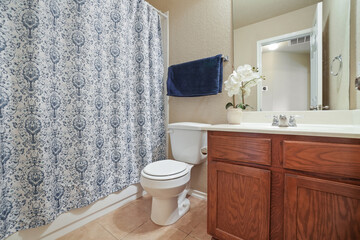 Home bathroom