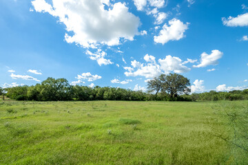 Fototapeta na wymiar texas countryside farmland 